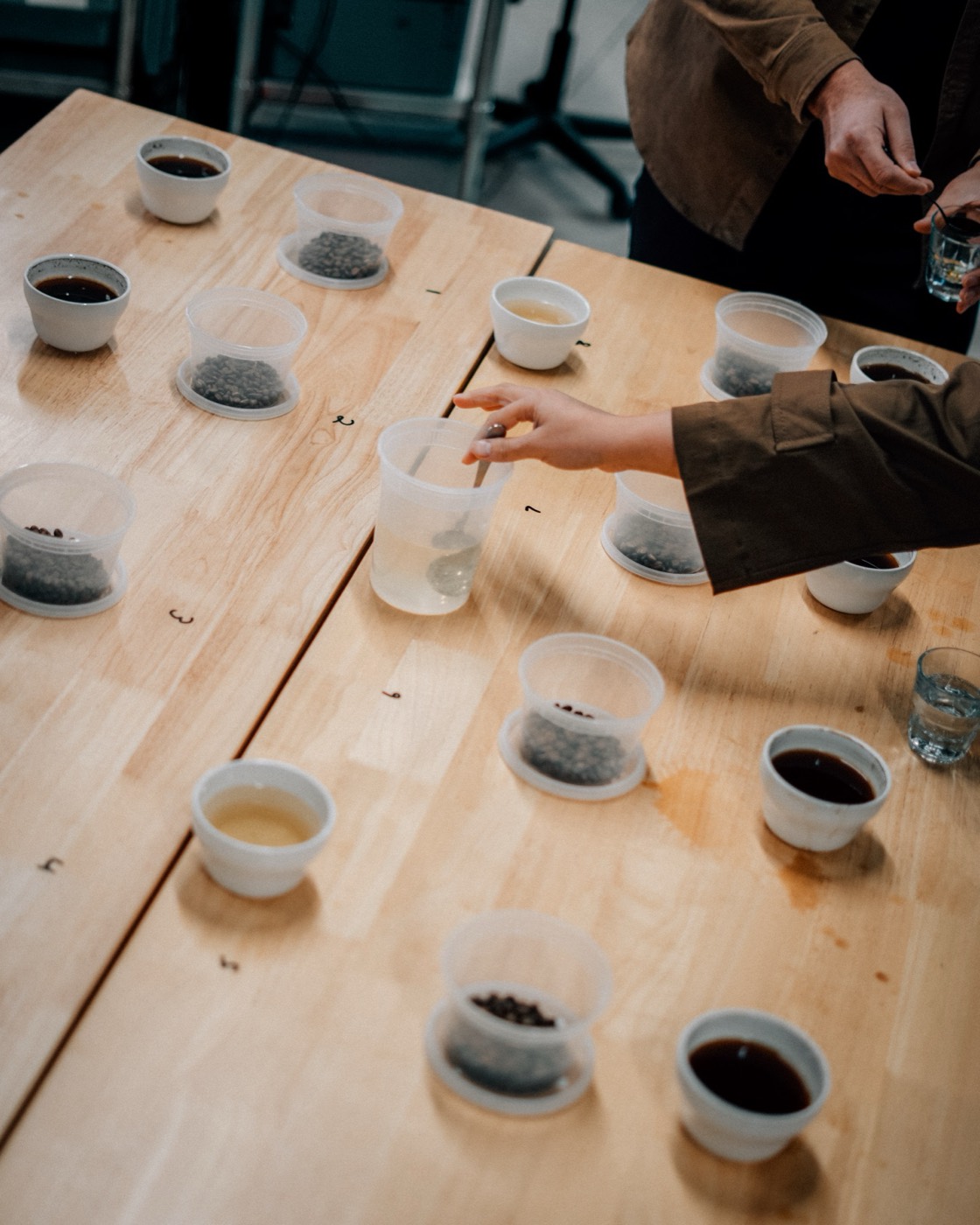 Cupping session at Coffeehaus, bean samples and tasting bowls arranged on a wooden table