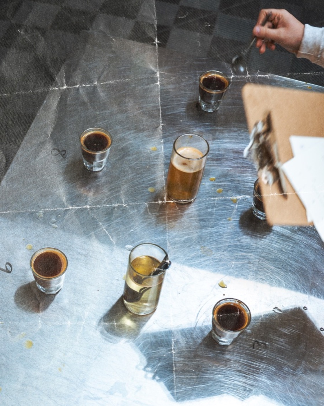 Cupping session at Coffeehaus — glasses of espresso on a steel table